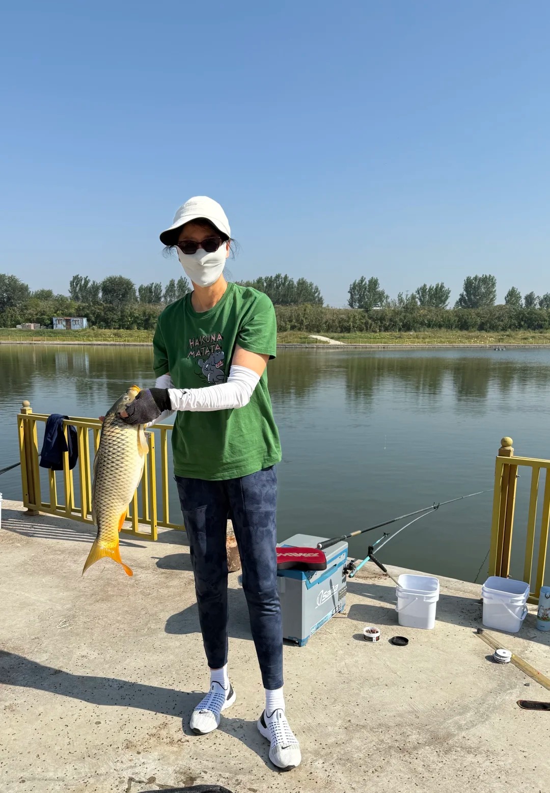 entit, src entit, src